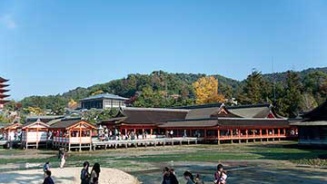 干潮時の宮島の厳島神社と観光客
